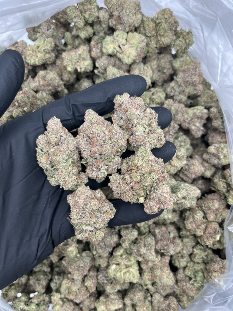 Lemon Zkittlez Strain